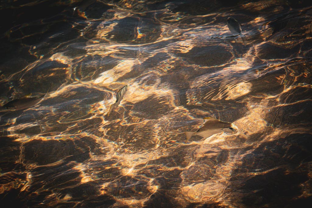 water